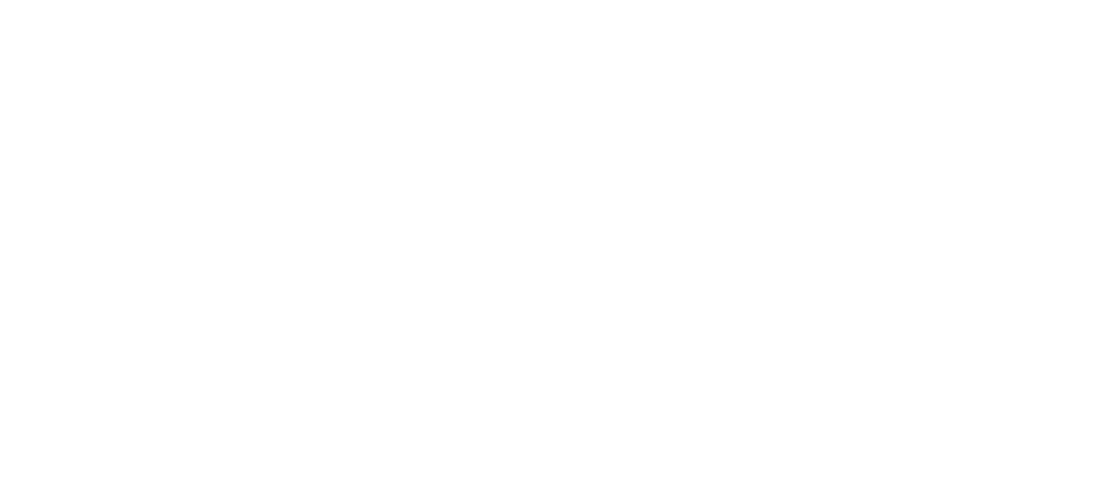 Dr. Alan Ohki